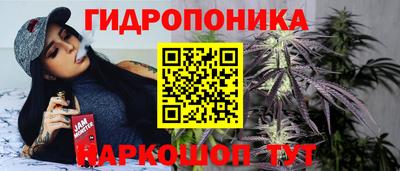 a pvp Тара