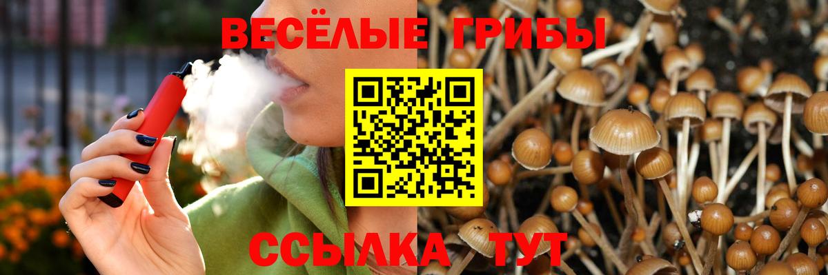 Нижний Тагил  Псилоцибиновые грибы прущие грибы  Вход с VPN 